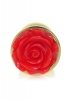 Plug-Jewellery Gold PLUG ROSE- Red